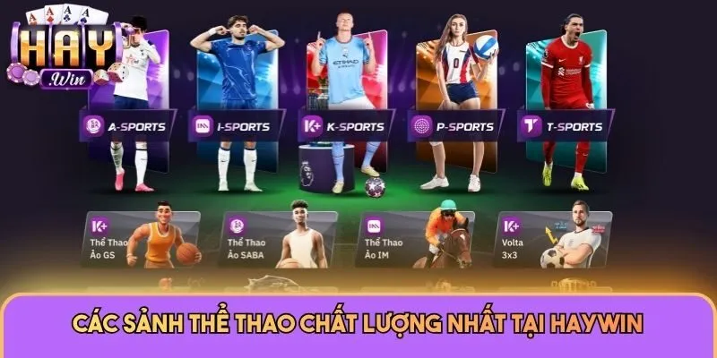 Thể Thao 1 Các sảnh thể thao chất lượng nhất tại Haywin