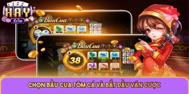Bầu Cua Tôm Cá Haywin - Khám Phá Game Đổi Thưởng Cực Chất 3 Chọn Bầu Cua Tôm Cá và bắt đầu ván cược
