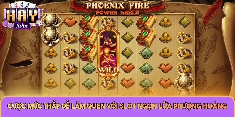 Ngọn Lửa Phượng Hoàng Haywin - Săn Hũ Vàng Rực Cháy 3 Cược mức thấp để làm quen với slot Ngọn Lửa Phượng Hoàng