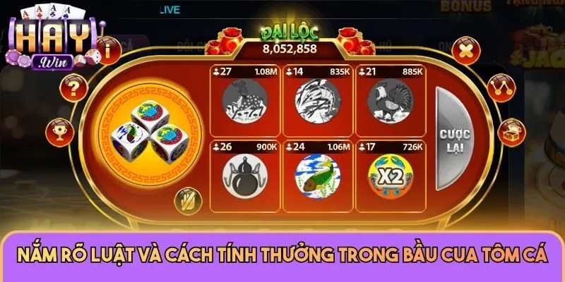 Bầu Cua Tôm Cá Haywin - Khám Phá Game Đổi Thưởng Cực Chất 2 Nắm rõ luật và cách tính thưởng trong Bầu Cua Tôm Cá